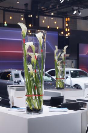 Traditie nood Garantie Witte calla's in een hoge vaas 90 met luxe afwerking | Plant-Axis